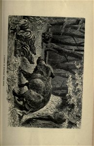 n456_w1150