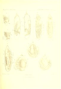 n48_w1150