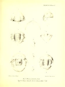 n370_w1150