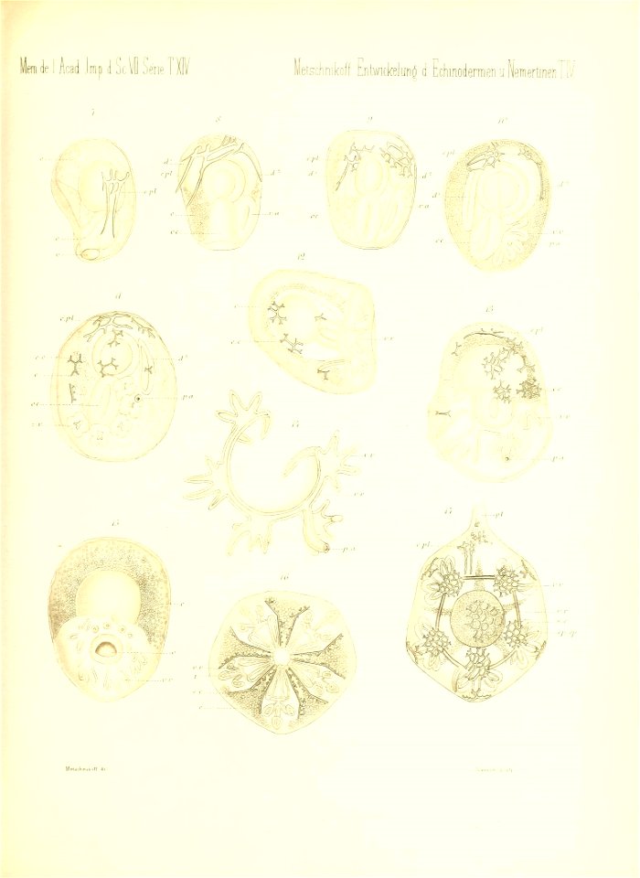 n696_w1150