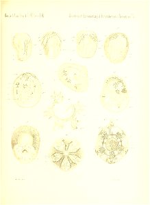 n696_w1150