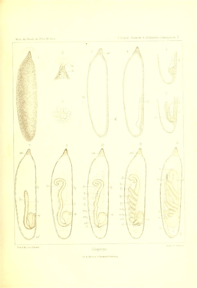 n46_w1150