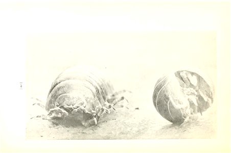 n263_w1150