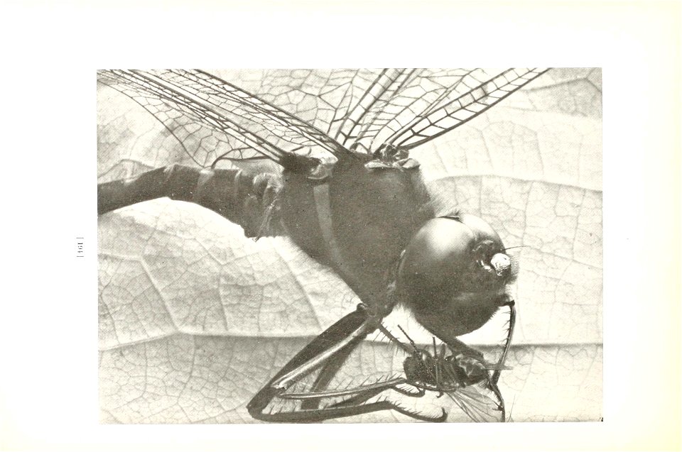 n197_w1150