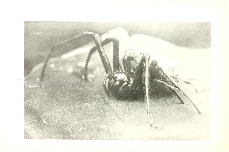 n33_w1150