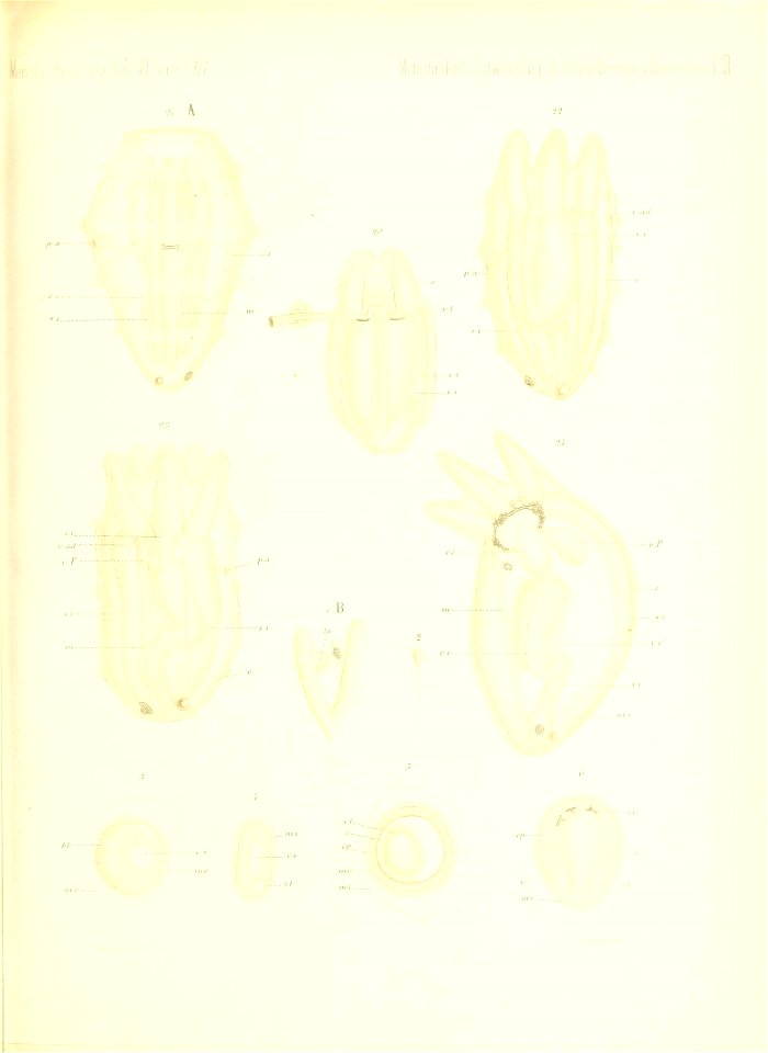 n694_w1150
