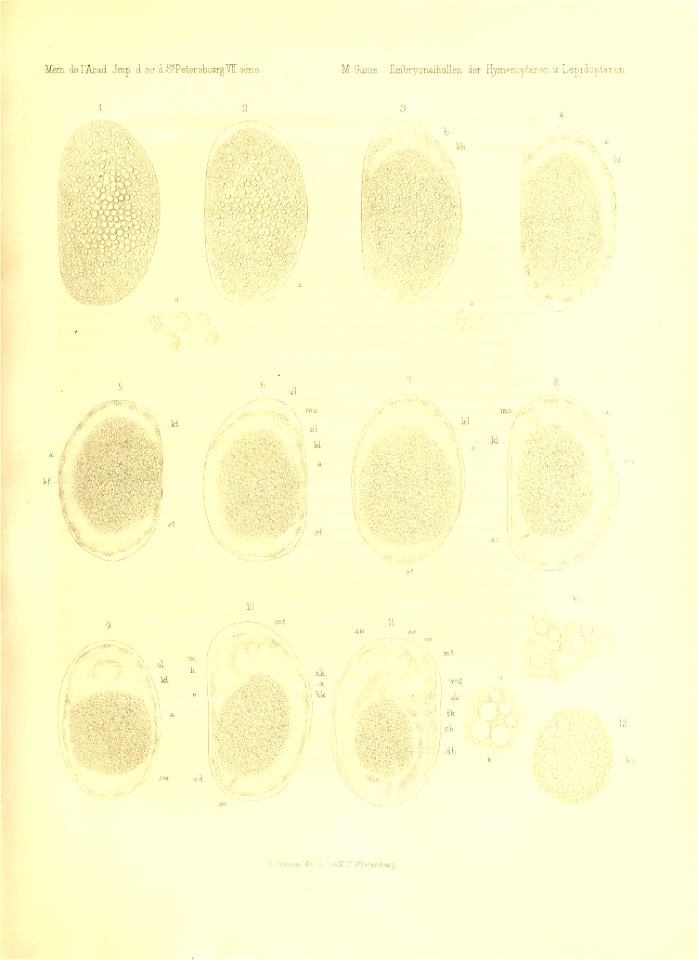 n300_w1150