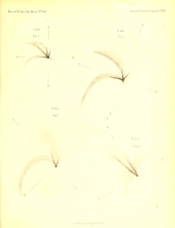 n804_w1150