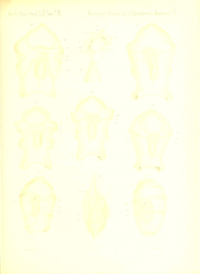 n692_w1150