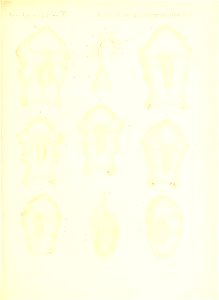 n692_w1150