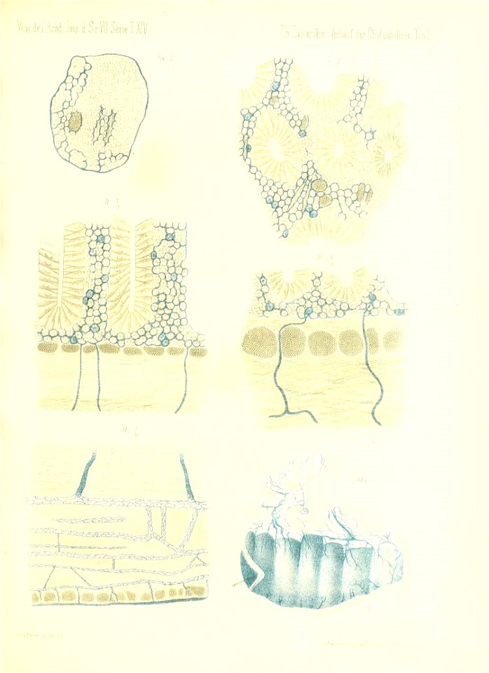 n202_w1150