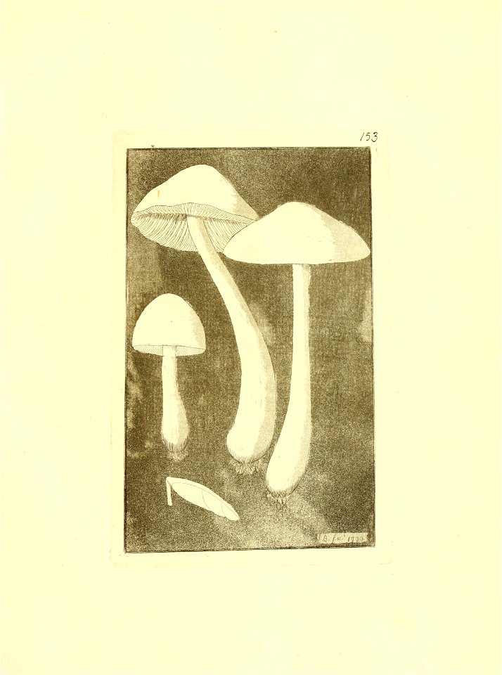 n254_w1150