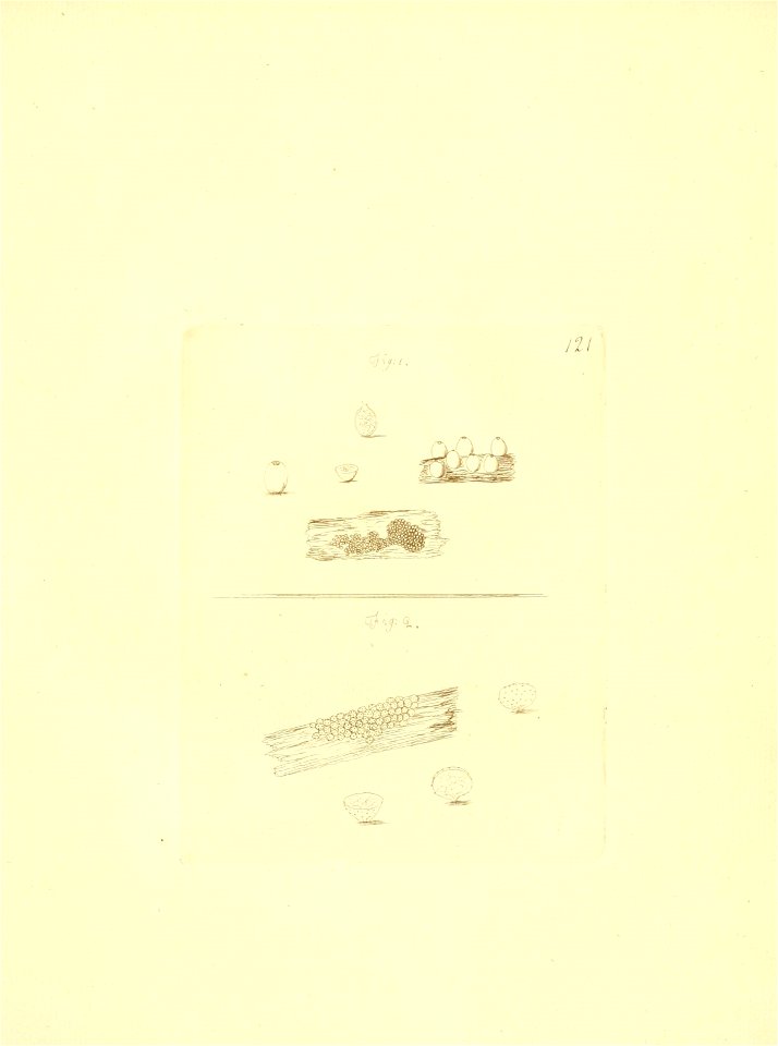 n122_w1150
