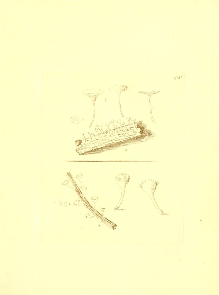 n92_w1150