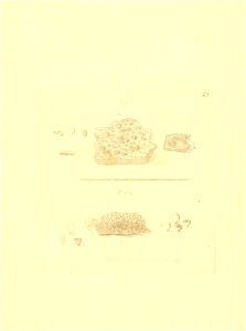 n120_w1150