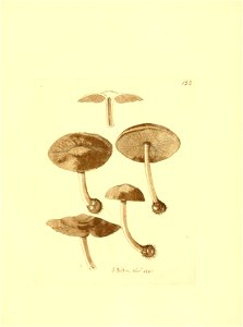 n248_w1150