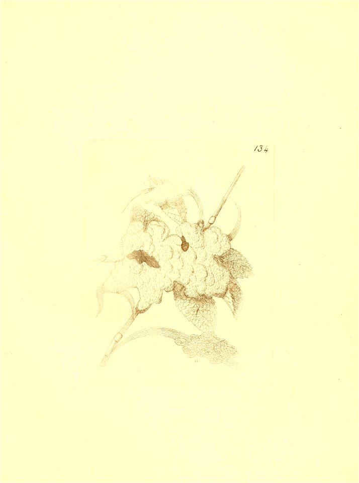 n148_w1150
