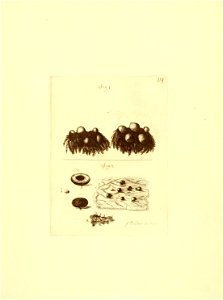 n118_w1150
