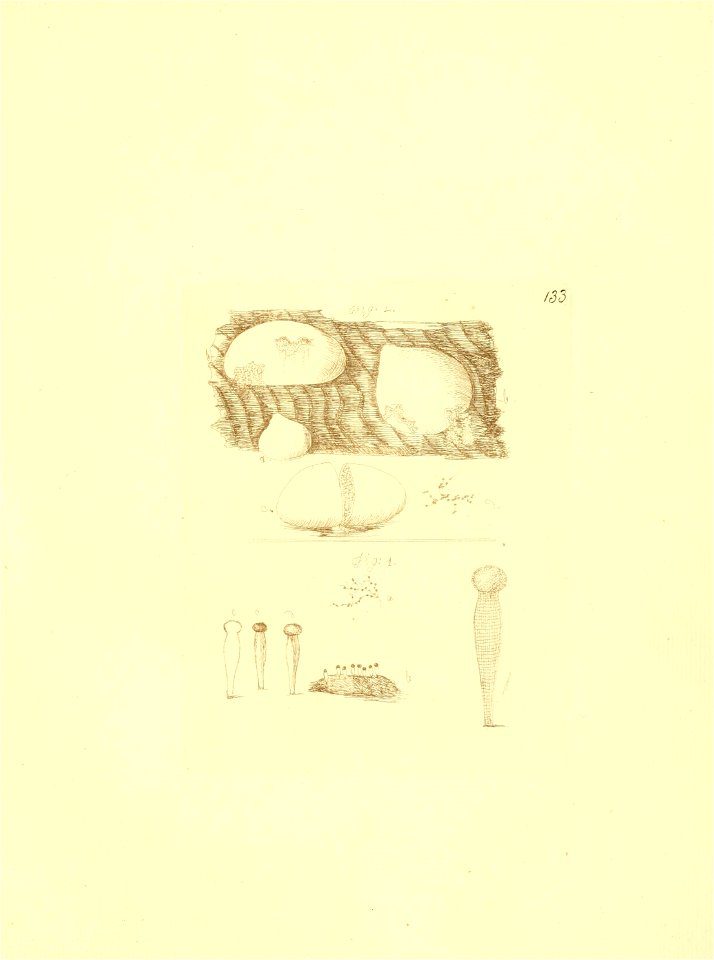 n146_w1150
