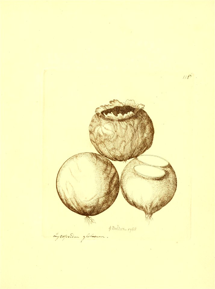 n116_w1150
