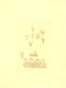n84_w1150