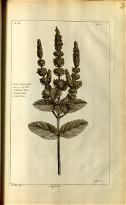 n181_w1150