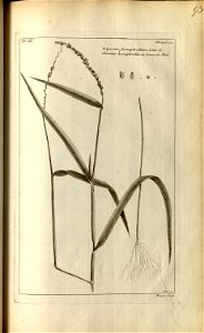 n195_w1150