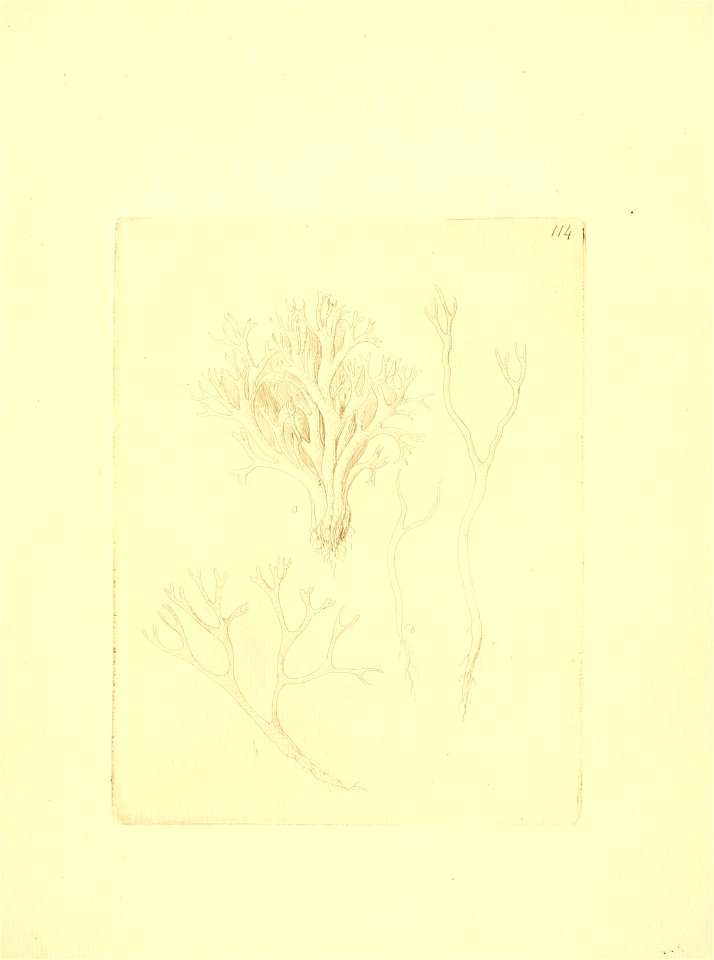 n108_w1150