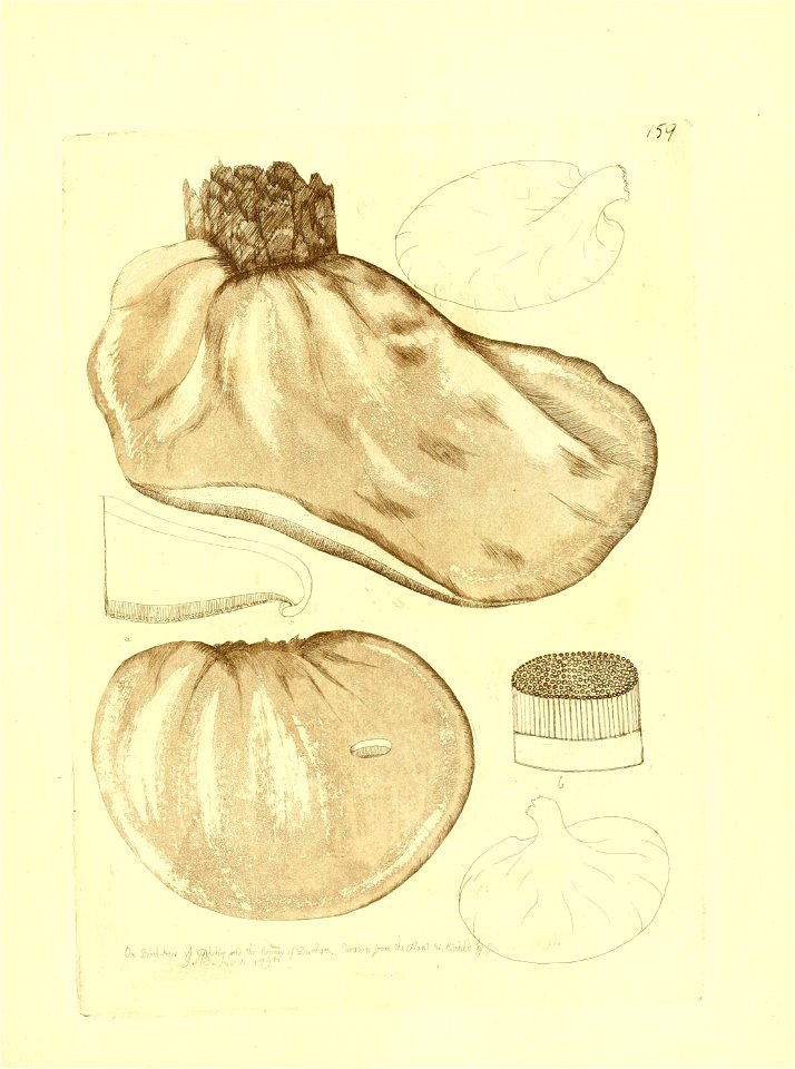 n266_w1150
