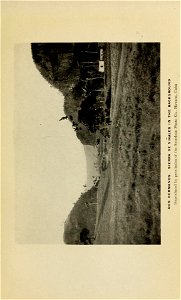 n298_w1150