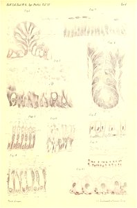n256_w1150