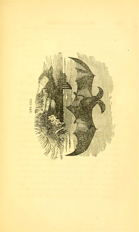 n302_w1150