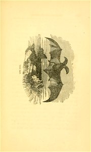 n302_w1150