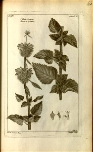 n156_w1150