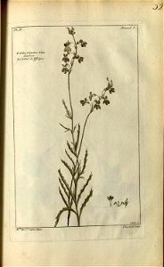 n154_w1150
