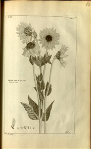 n165_w1150