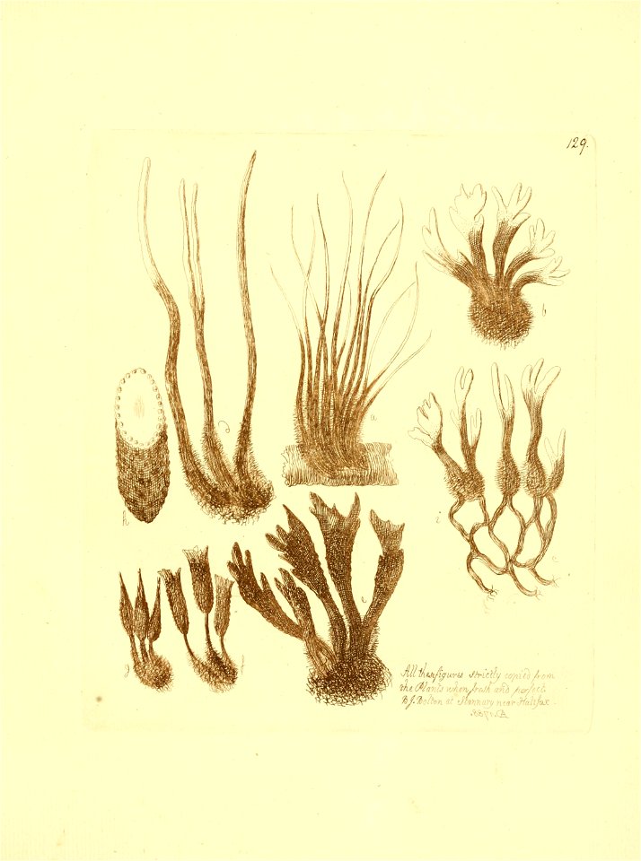 n136_w1150