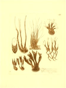 n136_w1150