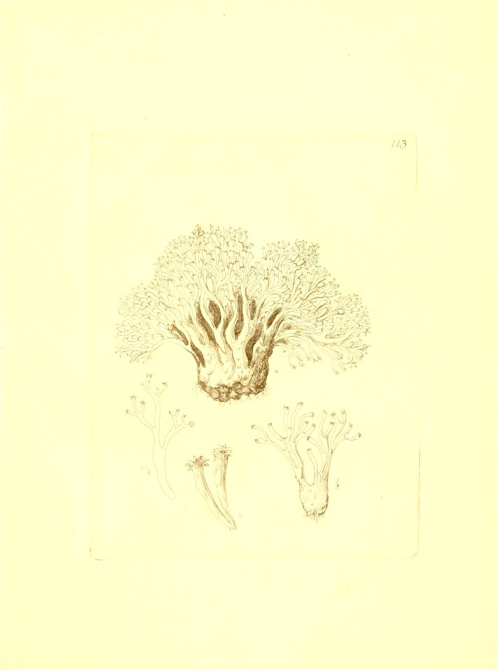 n106_w1150