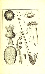 n516_w1150