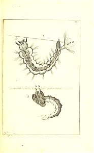 n484_w1150