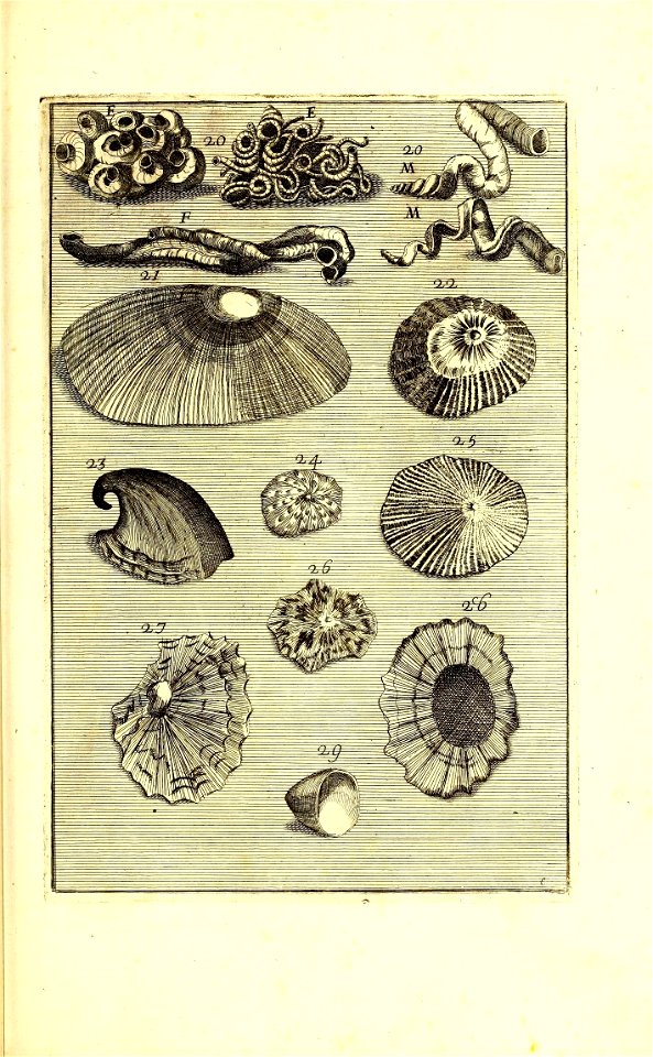 n682_w1150