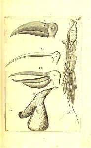 n342_w1150