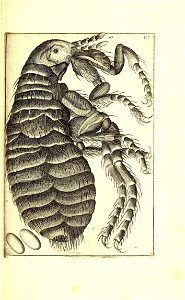 n508_w1150