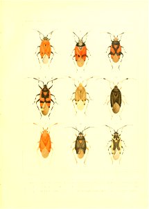 n58_w1150
