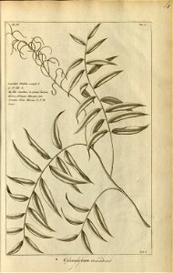 n5_w1150