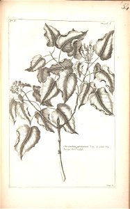 n255_w1150
