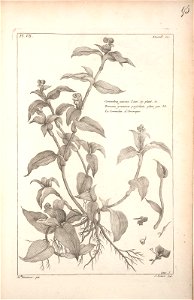 n296_w1150