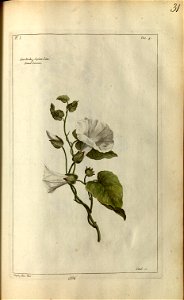 n133_w1150