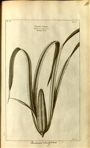 n118_w1150